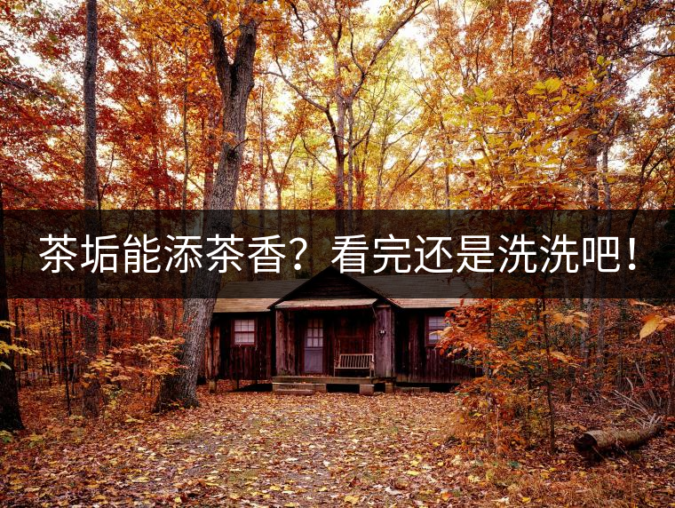 茶垢能添茶香？看完還是洗洗吧！