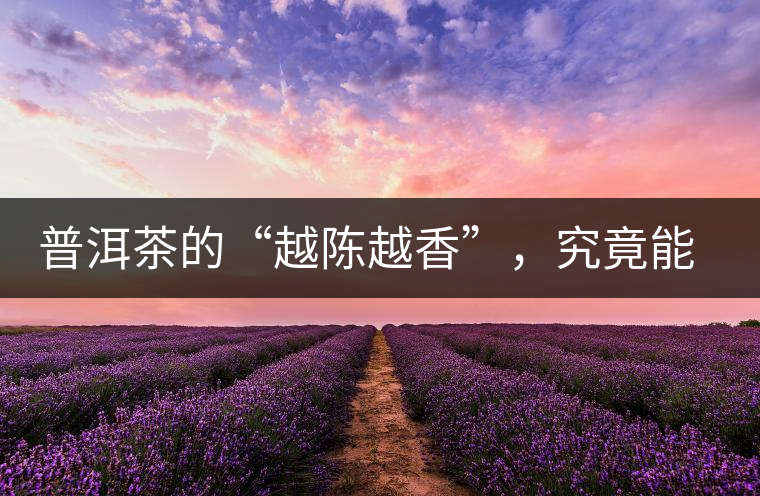 普洱茶的“越陳越香”，究竟能“陳”多久