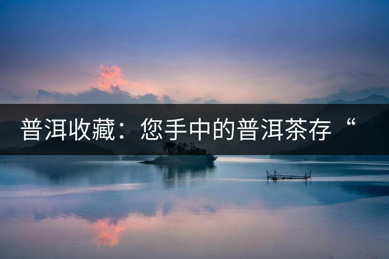 普洱收藏:您手中的普洱茶存“廢”了嗎? 普洱收藏:您手中的普洱茶存“廢”了嗎?
