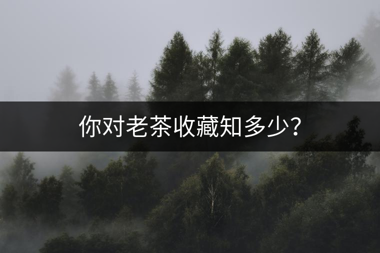 你對老茶收藏知多少？