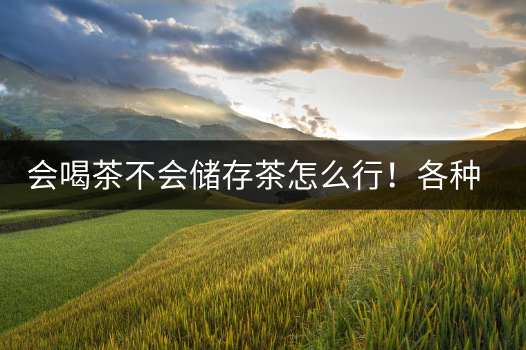 會(huì)喝茶不會(huì)儲(chǔ)存茶怎么行！各種存茶方法與技巧，把茶香留住