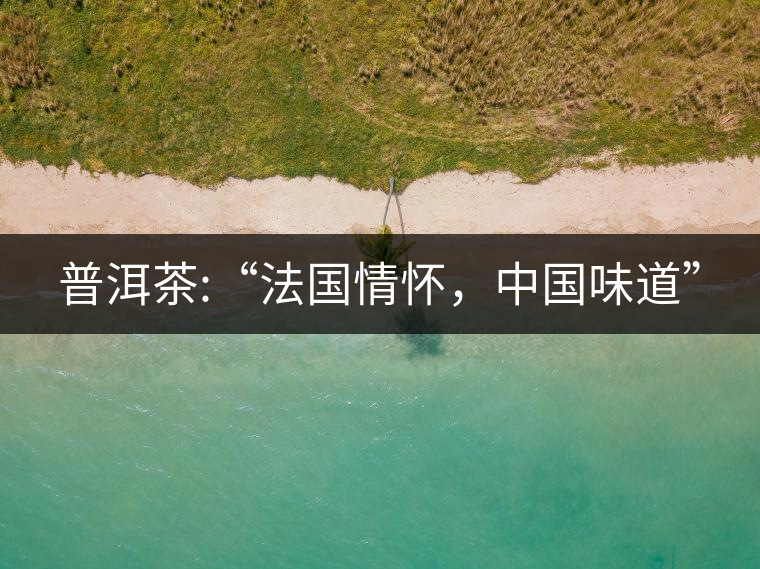 普洱茶:“法國(guó)情懷，中國(guó)味道”