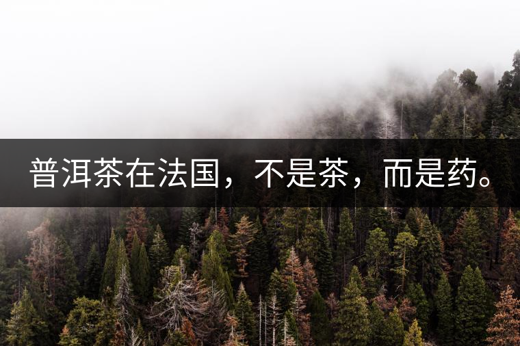 普洱茶在法國，不是茶，而是藥。