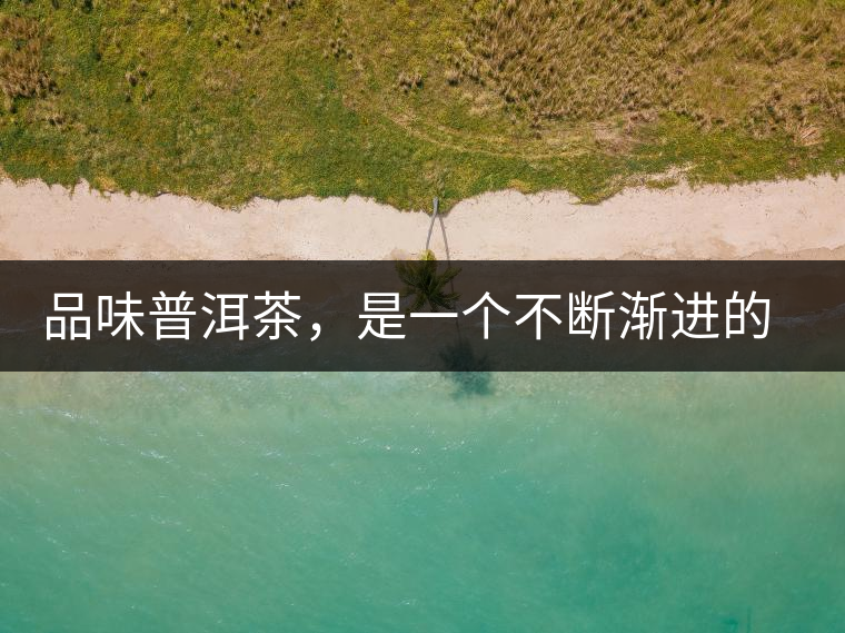 品味普洱茶，是一個(gè)不斷漸進(jìn)的過(guò)程