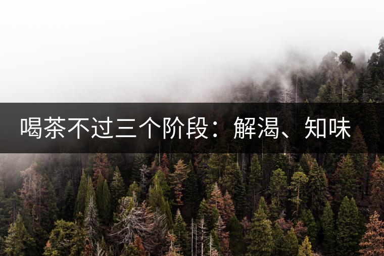 喝茶不過三個(gè)階段：解渴、知味、怡情
