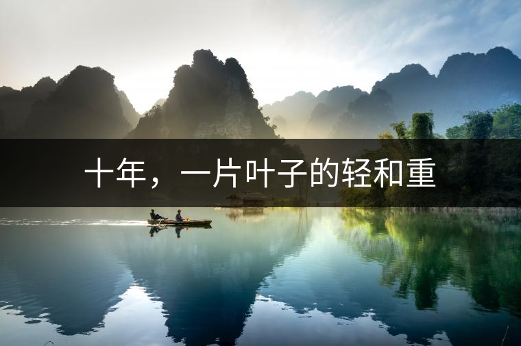 十年，一片葉子的輕和重