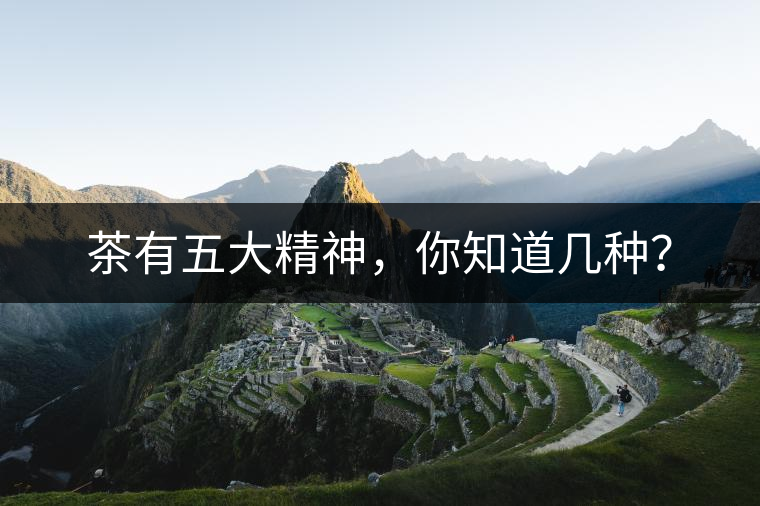 茶有五大精神，你知道幾種？