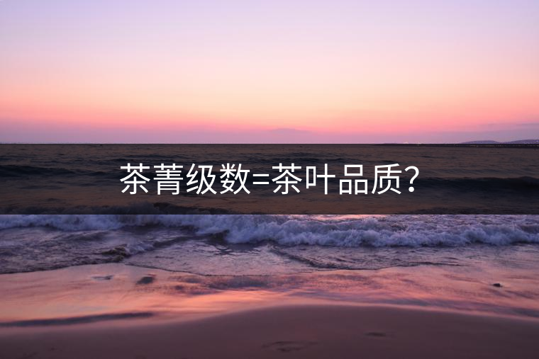 茶菁級數(shù)=茶葉品質(zhì)？