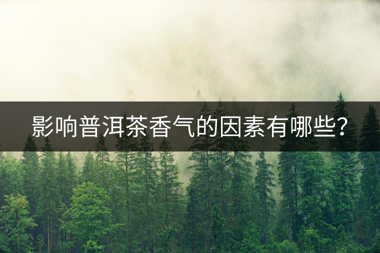 影響普洱茶香氣的因素有哪些？