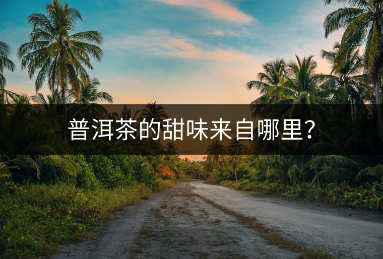 普洱茶的甜味來(lái)自哪里？