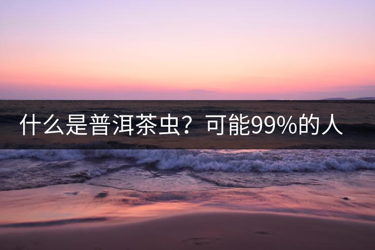什么是普洱茶蟲？可能99%的人都不知道