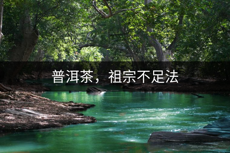 普洱茶，祖宗不足法