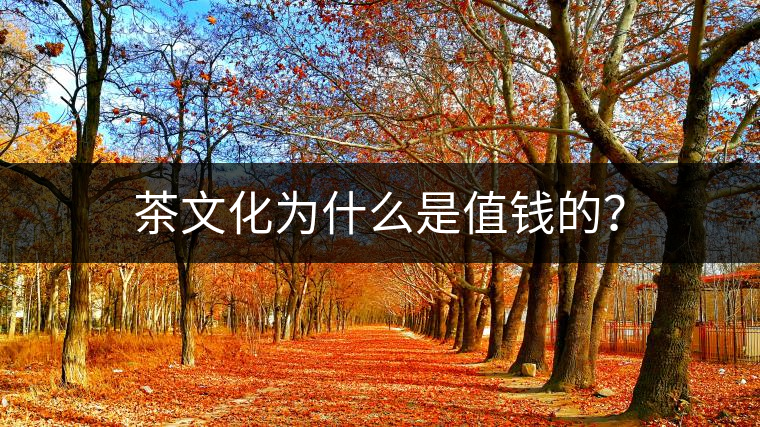 茶文化為什么是值錢的？
