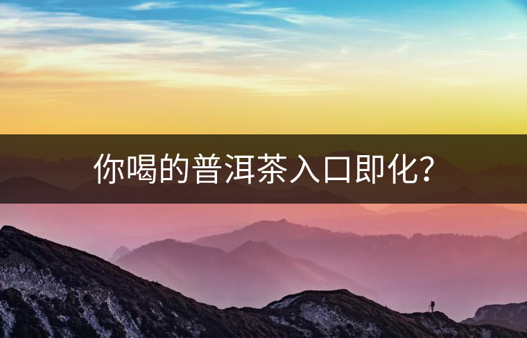 你喝的普洱茶入口即化？