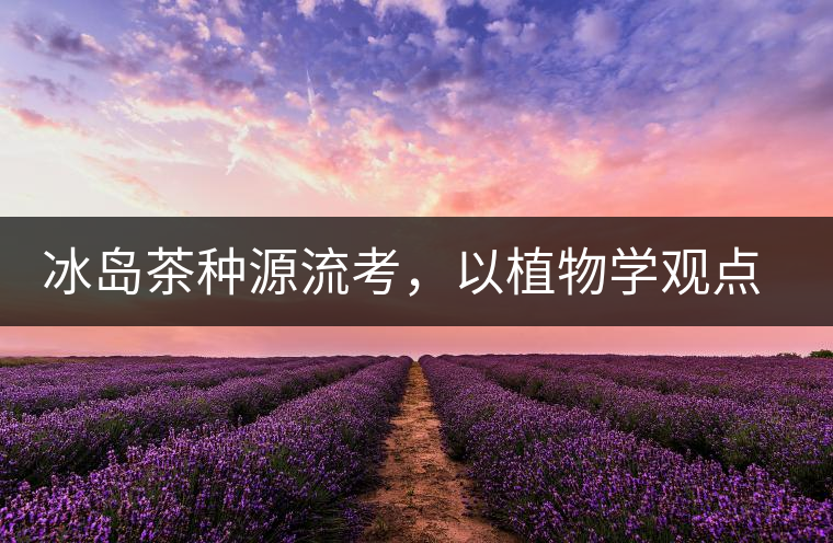 冰島茶種源流考，以植物學(xué)觀點(diǎn)解讀冰島茶