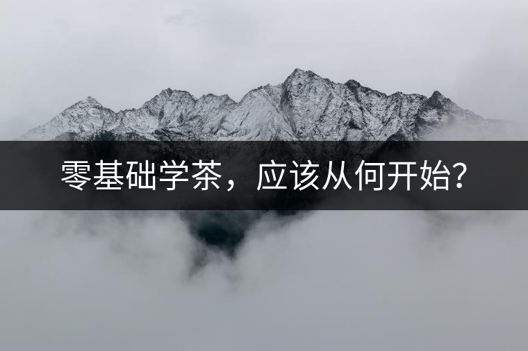 零基礎(chǔ)學(xué)茶，應(yīng)該從何開始？