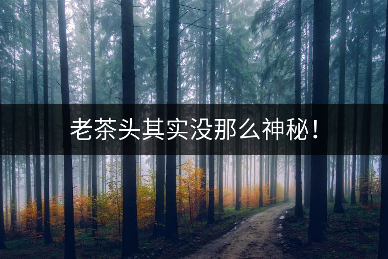 老茶頭其實(shí)沒那么神秘！