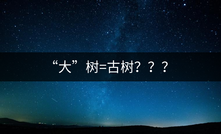 “大”樹=古樹？？？