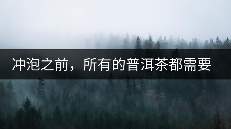沖泡之前，所有的普洱茶都需要醒茶嗎？