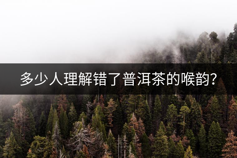 多少人理解錯了普洱茶的喉韻？