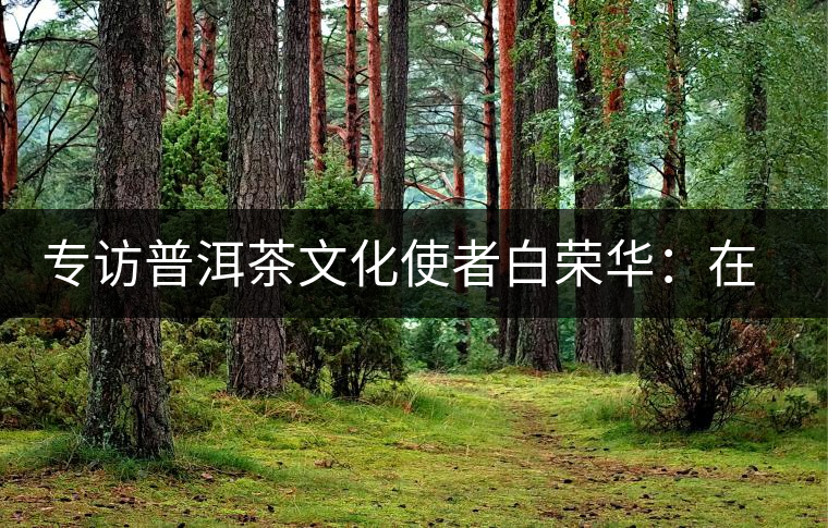 專訪普洱茶文化使者白榮華：在傳承中發(fā)揚(yáng)創(chuàng)新