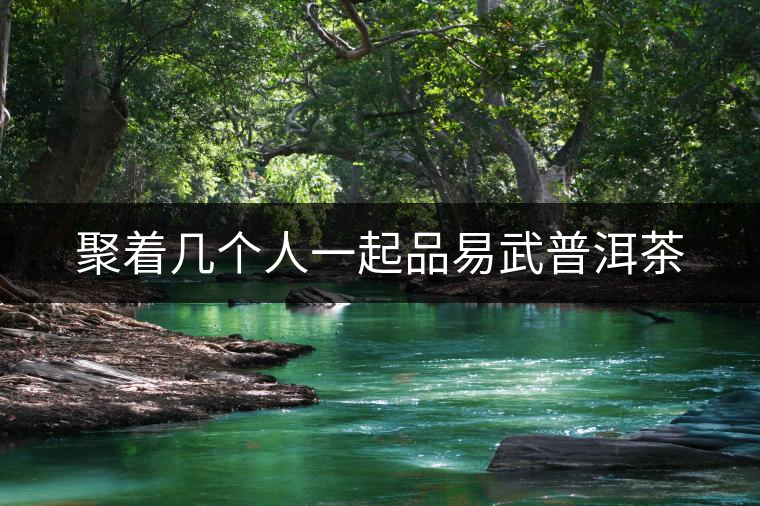 聚著幾個人一起品易武普洱茶 聚著幾個人一起品易武普洱茶