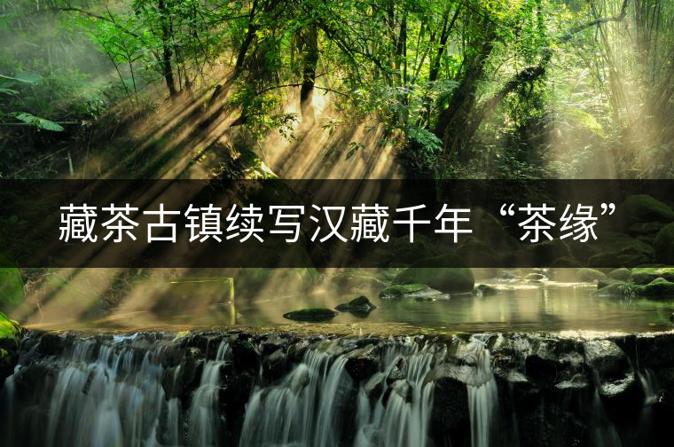 藏茶古鎮(zhèn)續(xù)寫(xiě)漢藏千年“茶緣” 藏茶古鎮(zhèn)續(xù)寫(xiě)漢藏千年“茶緣”