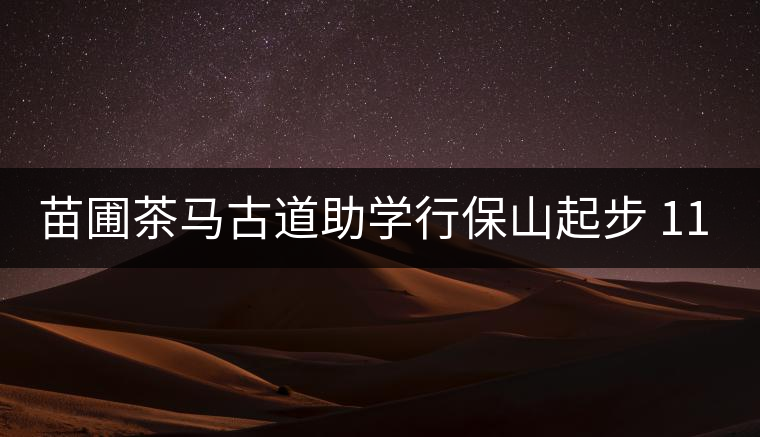 苗圃茶馬古道助學行保山起步 112名志愿者預(yù)計籌款100萬