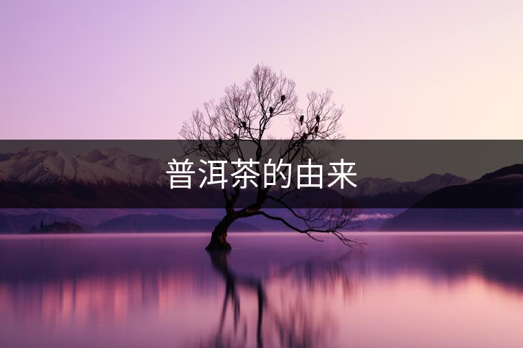普洱茶的由來(lái) 普洱茶的由來(lái)