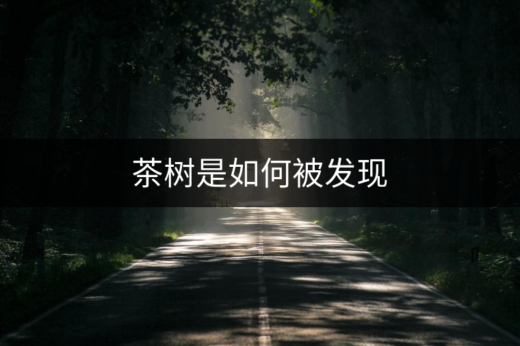 茶樹是如何被發(fā)現(xiàn) 茶樹是如何被發(fā)現(xiàn)