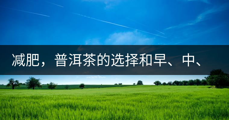 減肥，普洱茶的選擇和早、中、晚的喝法