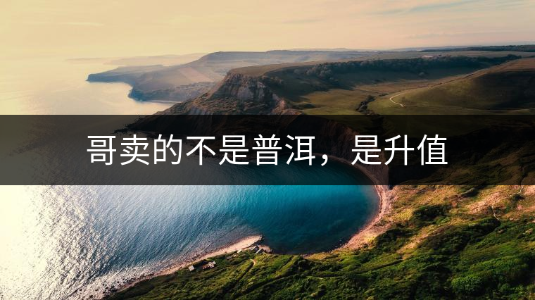 哥賣的不是普洱，是升值