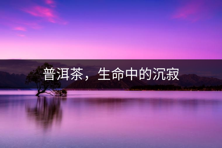 普洱茶，生命中的沉寂