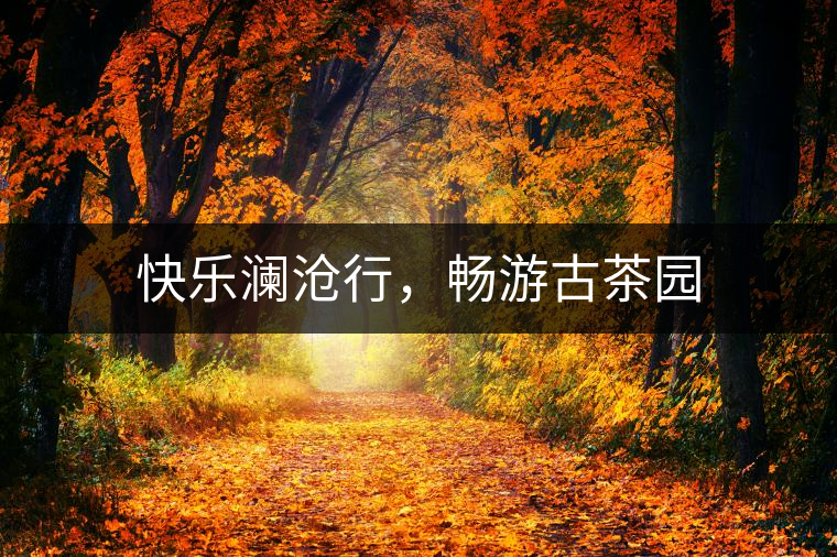 快樂瀾滄行，暢游古茶園