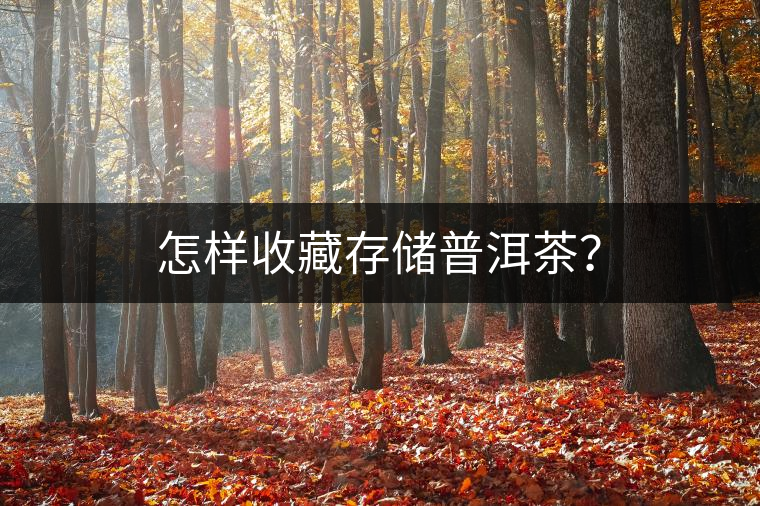 怎樣收藏存儲(chǔ)普洱茶？