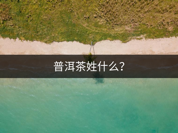 普洱茶姓什么？