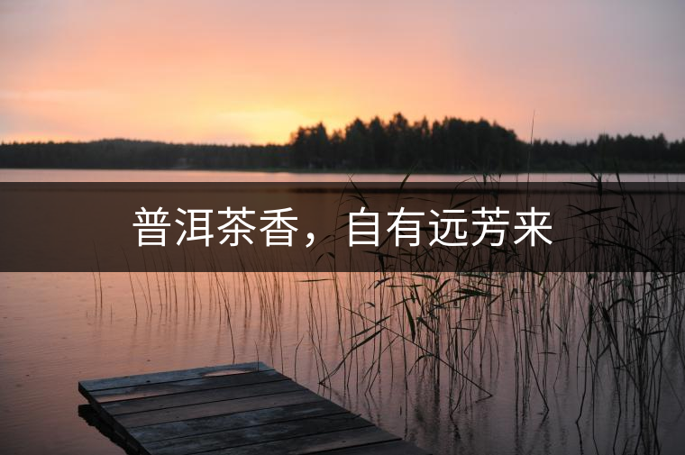 普洱茶香,自有遠(yuǎn)芳來 普洱茶香,自有遠(yuǎn)芳來