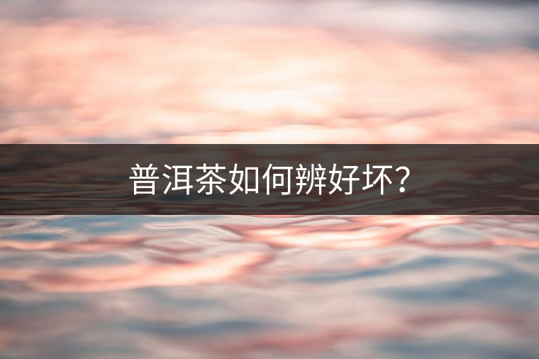 普洱茶如何辨好壞？