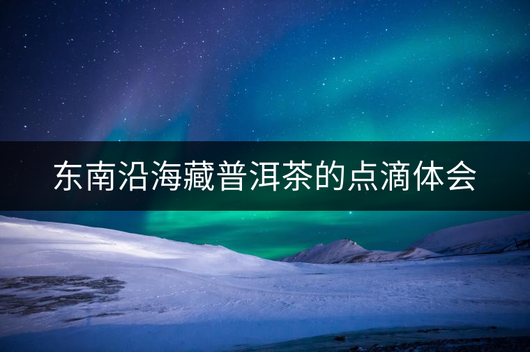 東南沿海藏普洱茶的點(diǎn)滴體會(huì) 東南沿海藏普洱茶的點(diǎn)滴體會(huì)