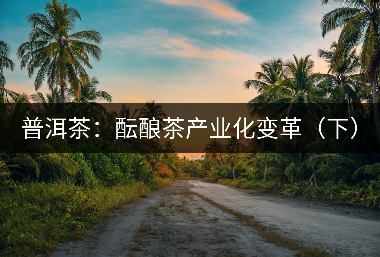 普洱茶：醞釀茶產業(yè)化變革（下）