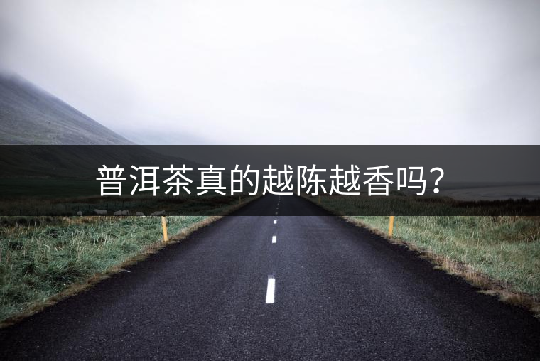 普洱茶真的越陳越香嗎？