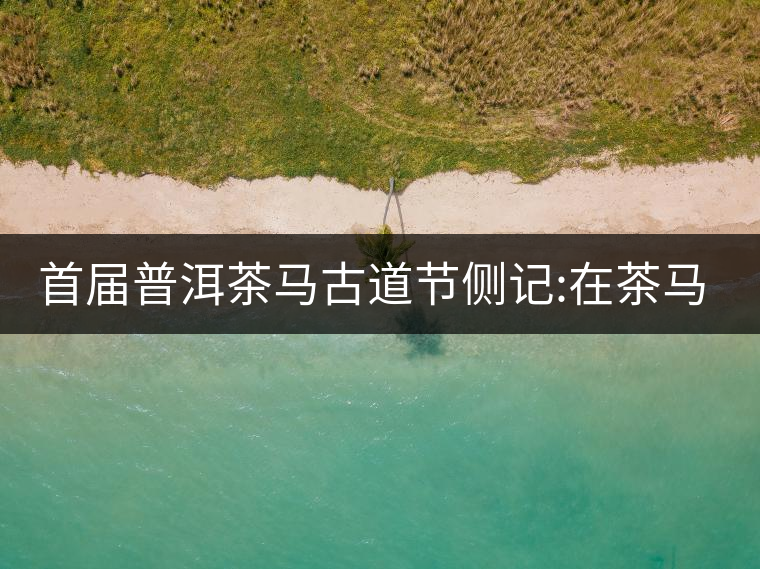 首屆普洱茶馬古道節(jié)側(cè)記:在茶馬古道起始的地方