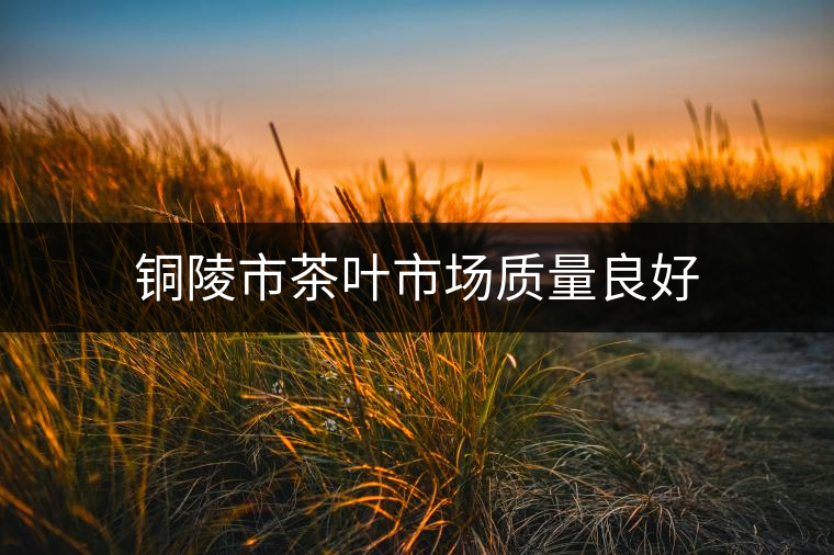 銅陵市茶葉市場質(zhì)量良好 銅陵市茶葉市場質(zhì)量良好