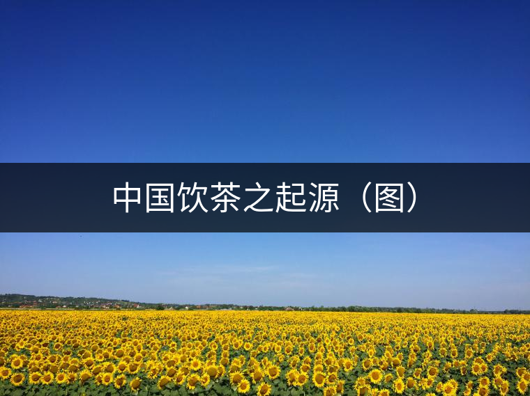 中國飲茶之起源(圖) 中國飲茶之起源(圖)