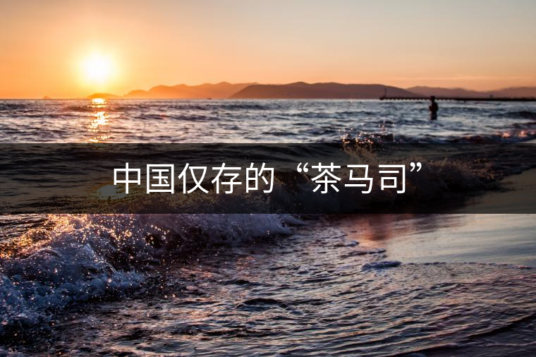 中國僅存的“茶馬司”