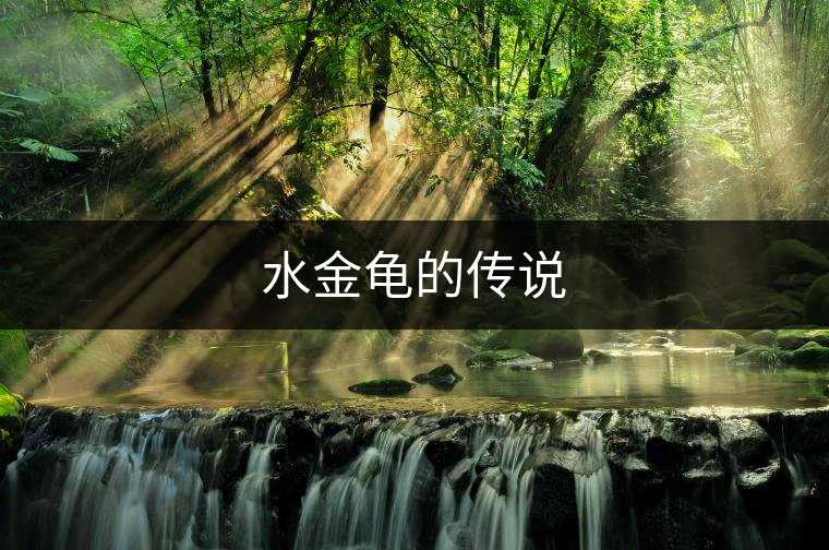水金龜?shù)膫髡f(shuō)