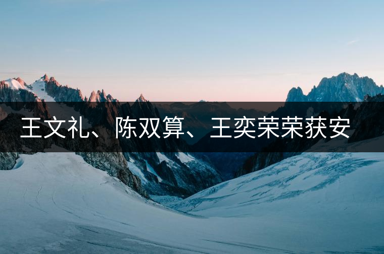 王文禮、陳雙算、王奕榮榮獲安溪茶界三杰