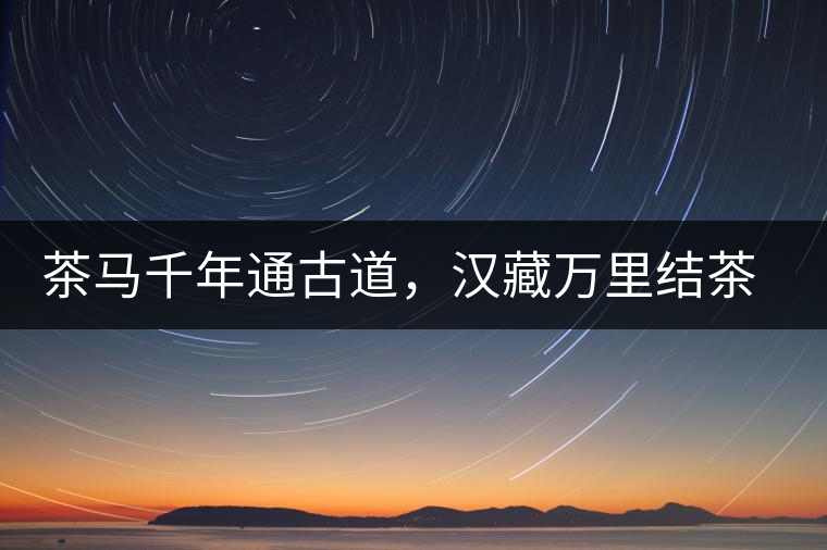 茶馬千年通古道，漢藏萬(wàn)里結(jié)茶緣