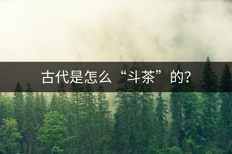 古代是怎么“斗茶”的？