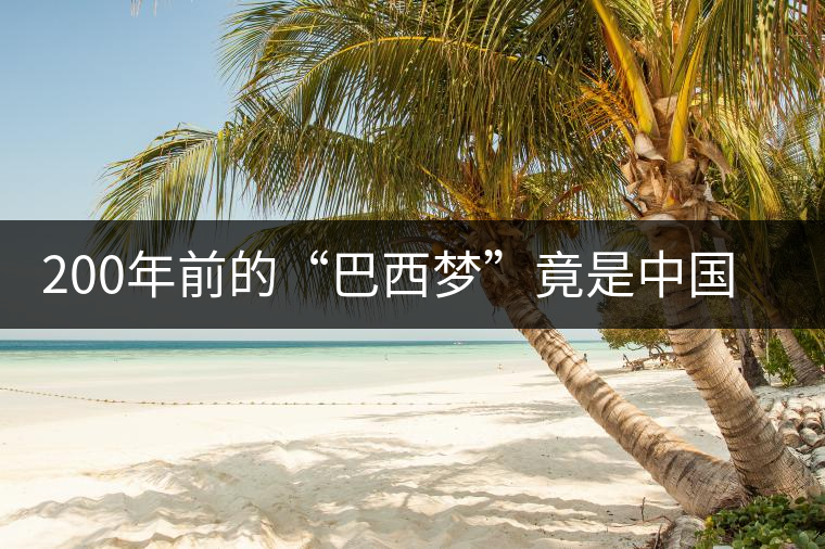 200年前的“巴西夢”竟是中國茶